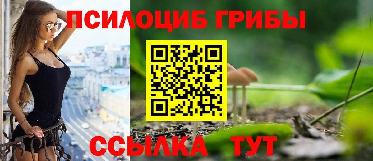 Псилоцибиновые грибы мухоморы  Вход с VPN  Чебаркуль 